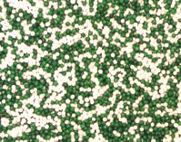 Non-pareils: Green &amp; White 5.5