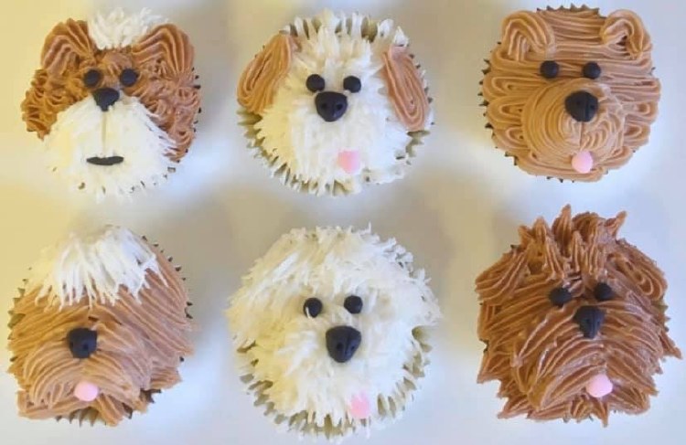 cupcake puppy