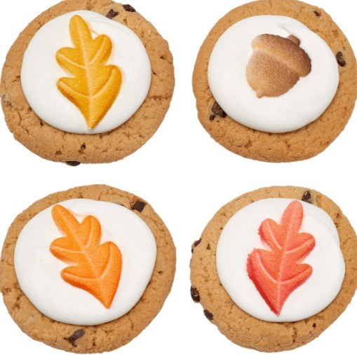 Shimmer Acorn/leaf 7pk