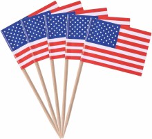 Us Flag Picks