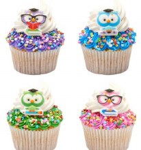Back To School Owls 3pc
