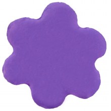 CK Product Iris Blossom Dust 4gr