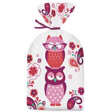 Wilton Party Bags:owl 20/pk