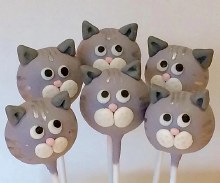 Supply Kit For Kitty Cake Pop