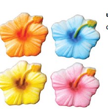 Hibiscus Sugar Flowers 6pk