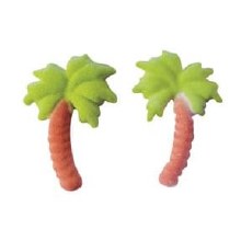 Palm Trees 8pk