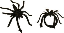 Spider Rings 12ct