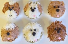 Supply Kit For Puppy Cupcakes