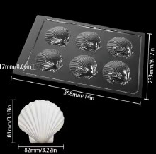 CAKE WALK  Shell Chocolate Mold