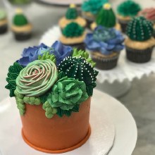 Supply Kit Succulent Cake