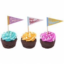 Pennant Graduation Pics 6pk