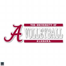 Block Volleyball