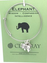Clea Ray Charm Bracelet