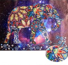 Elephant In The Universe