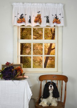 Halloween Valance