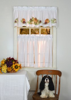 Pumpkin Patch Valance