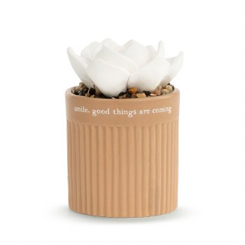 Succulent Oil Diffuser Smile