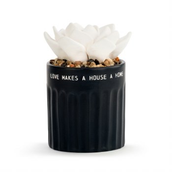 Succulent Oil Diffuser Home