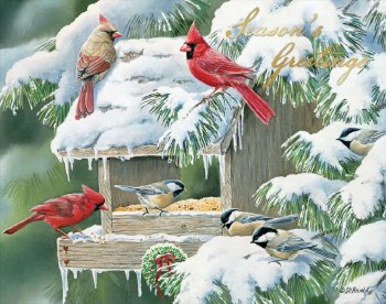 Boxed Christmas Cards Cardinal Christmas