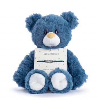 Big Brother Navy Bear
