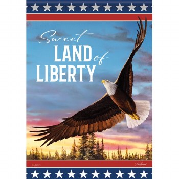 Garden Flag Patriotic Flight