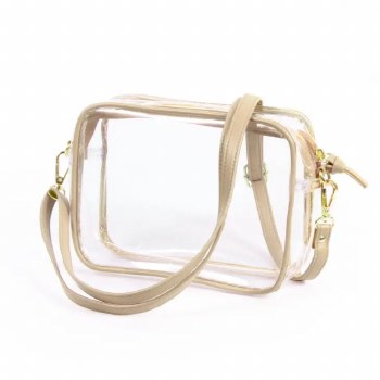 Bridget Clear Purse Gold