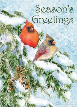 Christmas Card Set of 10 Seasons Greetings