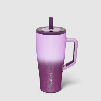 Era 30oz Violet Crush