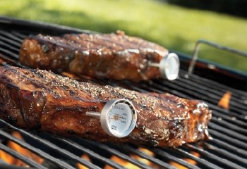 Mini Steak Thermometers Set/4