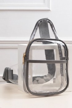 Concert Sling Bag Clear Gray
