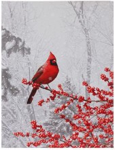 Lighted Print - Cardinal on Branch