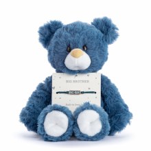 Big Brother Navy Bear