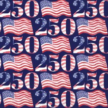 Cocktails Napkins USA 250