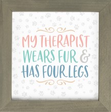 My Therapist Wears Fur