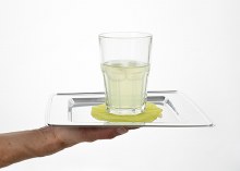 Lilypad Coaster