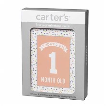 Milestones Baby Photo Prop