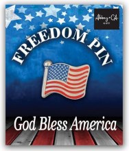 Flag Lapel Pin Silver