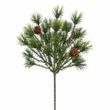 Pik Cluster Pine with Pinecones