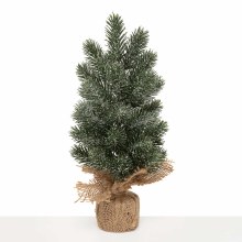 Tree Colorado Natural Pine Medium