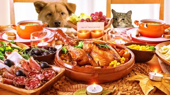 2 Thanksgiving Meals