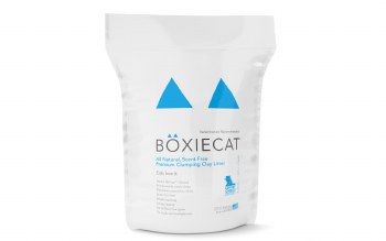 boxiecat litter