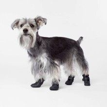 Cp Wellies Lined Dog Boots 5xl