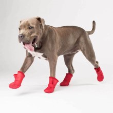 Cp Wellies Lined Dog Boots Med