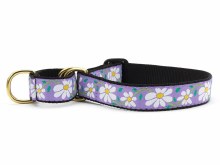 Daisy Martingale Med