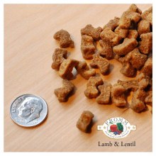 Fromm Grain-Free Lamb & Lentil 26#