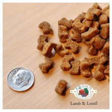 Fromm Grain-Free Lamb & Lentil 4#