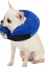 Kong Cloud Collar Sm