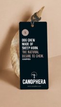 Canophera Sheep Horn Sm