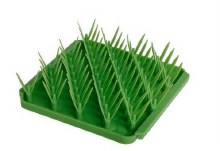 Tall Tails Grass Forage Mat