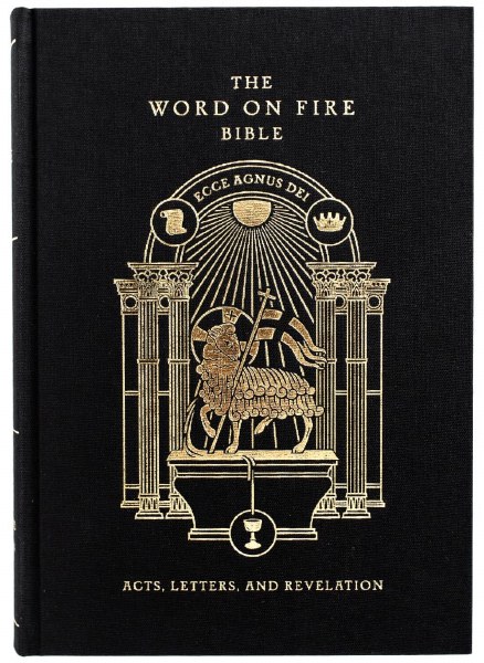 Word on Fire Bible Acts, Part II (Hardback)